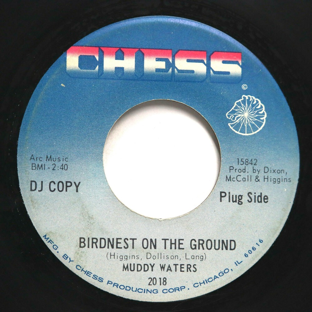 MUDDY WATERS - WHEN THE EAGLE FLIES /‎ BIRDNEST ON THE GROUND - SOUL 45 (PROMO)